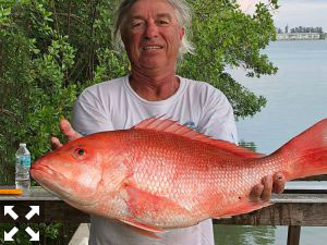 Dave Robinson displaying a nice sized Red Snapper.