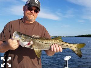 Darrell's Anniversary Snook was a pretty sweet catch.