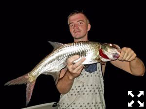 Night snook fishing for fly anglers has been really good.