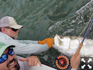 July is a great month to fly fish for tarpon in the gulf.