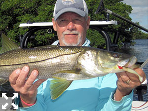 Mike Perez, from Sarasota, with a snook caught and released on a CAL jig with a shad tail while fishing lower Tampa Bay recently with Capt. Rick Grassett.