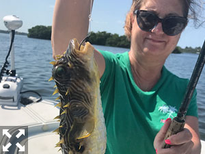 Connie hauled in this prickly lookin' blowfish.