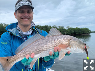 Kyle Ruffing from Sarasota, had good action catching and releasing reds on CAL jigs with shad tails while fishing Tampa Bay with Capt. Rick Grassett.