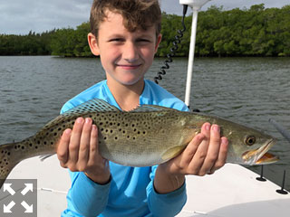 We found good numbers of seatrout in all sizes over the last few weeks. (photo: Capt. Brian Boehm)