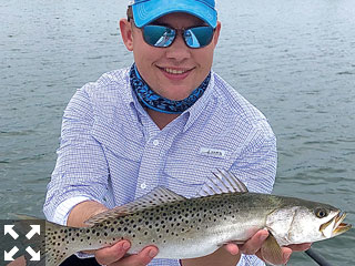 Seatrout of all sizes have provided steady action in waters around Sarasota. (photo: Capt. Brian Boehm)