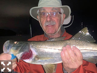 Dick Striano, from MA, with a snook caught and released on a fly while fishing the ICW at night with Capt. Rick Grassett.