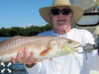 Jack McCulloch, from Lakewood Ranch, had good action catching and releasing several reds on CAL jigs with shad tails while fishing shallow water with Capt. Rick Grassett recently.