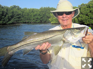 Keith McClintock, from Lake Forest, IL, had good action catching and releasing a nice snook and several reds on CAL jigs with a variety of plastic tails while fishing shallow waters with Capt. Rick Grassett.