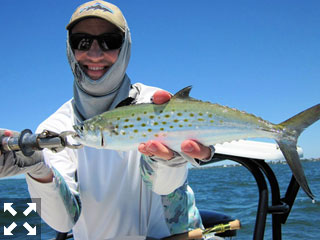 There should be good action for a variety of species on deep grass flats of Sarasota Bay during April. Matt caught and released this Spanish mackerel while fishing with Capt. Rick Grassett in a previous April.