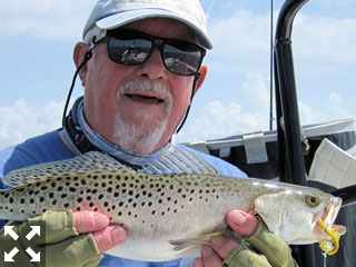 Bill Morrison with a trout that he caught and released fishing Sarasota Bay with Capt. Rick Grassett recently. 