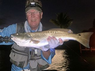 Gene Mayberry, from Bradenton, fished a pre-dawn/flats trip with me and had good action catching and releasing several snook.