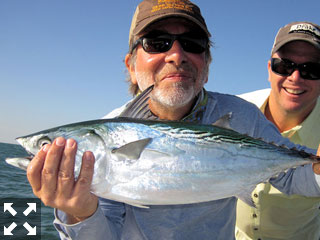 Orvis VP Tom Rosenbauer, from VT, with an albie caught and released on an epoxy glass minnow fly while fishing the gulf on a trip with Capt. Rick Grassett in a previous October.