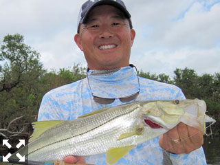 Jon Yenari from Sarasota, with a snook caught and released on a fly while fishing Tampa Bay with Capt. Rick Grassett in a previous October.