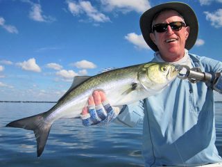 Marshall Dinerman again, this time with a blue caught on CAL jigs with shad tails while fishing Sarasota Bay with Capt. Rick Grassett.