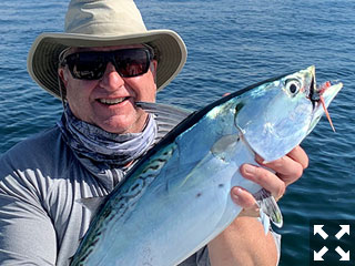 Greg Stepanski, from Tampa, with a false albacore caught and released on a fly while fishing the coastal gulf with Capt. Rick Grassett recently.