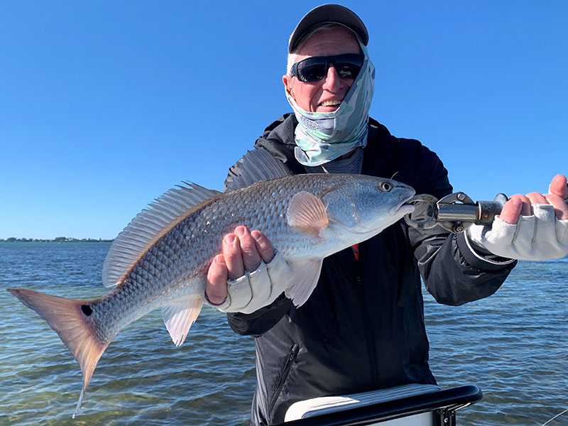 Marshall Dinerman, from Lido Key, had good action with reds in skinny water and blues on deep grass on CAL jigs with Shad tails while fishing Sarasota Bay with Capt. Rick Grassett on a couple of trips in previous January.