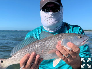 Cliff Ondercin with a redfish caught and released on a CAL jig with a grub while fishing Sarasota Bay with Capt. Rick Grassett recently.