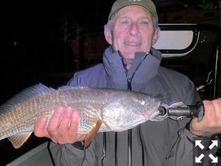 Dean Fields, from IN, with a redfish he caught and released on a fly while fishing the ICW at night with Capt. Rick Grassett recently.