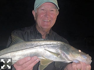 Sarasota winter resident Denny Mattingly with a snook caught and released on a Grassett Snook Minnow fly while fishing the ICW at night with Capt. Rick Grassett recently.