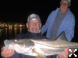 Mike Perez, from Sarasota, with a 31" snook caught and released on a fly on the same trip fishing the ICW at night.