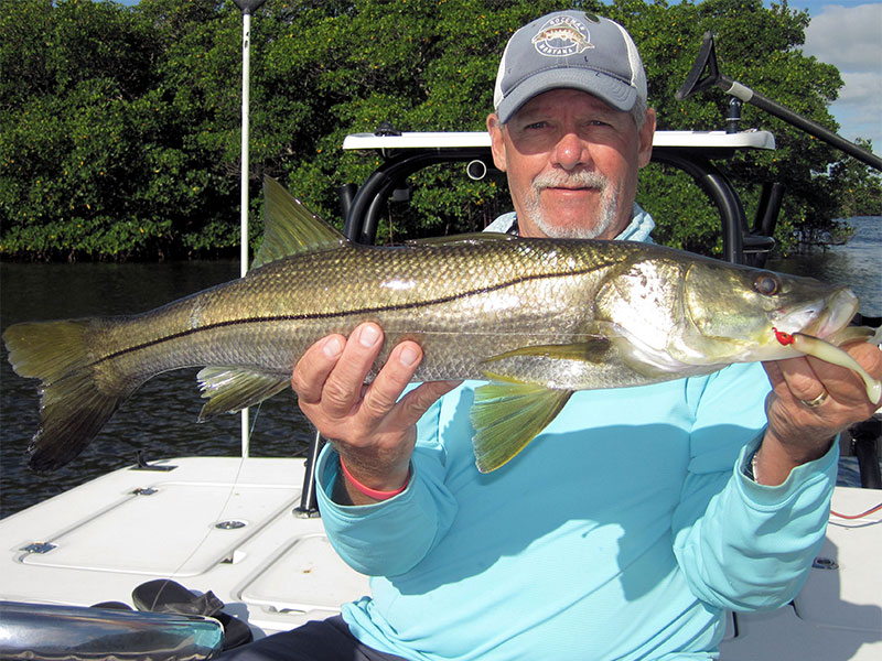 Mike Perez, from Sarasota, with a snook caught and released on a CAL jig with a shad tail while fishing Tampa Bay with Capt. Rick Grassett in a previous April.