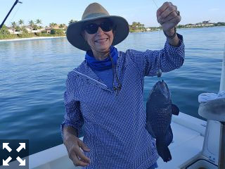 Anglers' Darrell and Diane Williams had a terrific day on the water catching sheepshead, black sea bass, and some big trout in Sarasota Bay.