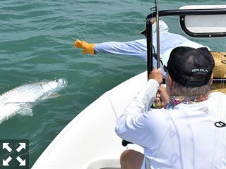 Dennis Ondercin, from Middleburg, Hts, OH, fights a tarpon that he caught and released while fishing the coastal gulf with Capt. Rick Grassett recently.