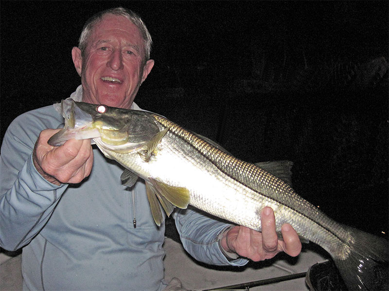 Marshall Dinerman, from Lido Key, caught and released snook and tarpon on flies while fishing dock lights before dawn with Capt. Rick Grassett on a couple of different trips in a previous September.
