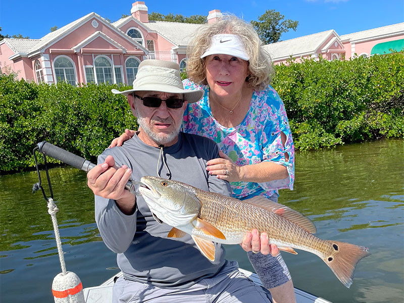 The Weber’s were on the water this past week with me and hooked this nice looking Red fishing Sarasota Bay.