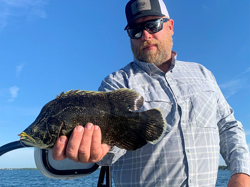 Dave and Shara King, from Dillon, MT, had good action catching and releasing trout, Spanish mackerel, snook and a tripletail on flies and DOA Lures while fishing in Sarasota with Capt. Rick Gr tripletail fishing in Sarasota Bay.