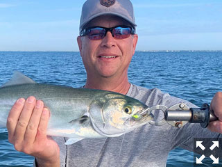 Todd Hesket, from Denver, with a Sarasota Bay bluefish caught and released on a CAL jig with a shad tail while fishing with Capt. Rick Grassett recently