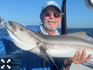 Rusty Chinnis, from Longboat Key, with a nice cobia caught and released on a CAL jig with a shad tail while fishing the coastal gulf with Capt. Rick Grassett.
