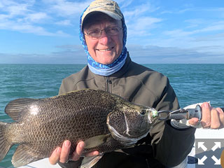 Denton Kent, from Sarasota, had good action catching and releasing tripletail on flies while fishing with Capt. Rick Grassett in a previous November.