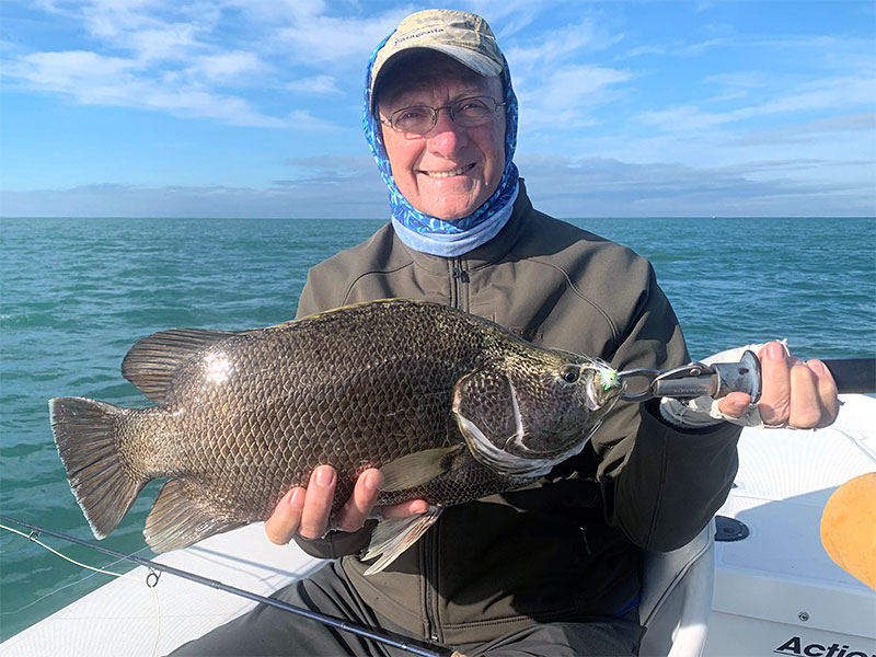 Denton Kent, from Sarasota, had good action catching and releasing tripletail on flies while fishing with Capt. Rick Grassett in a previous November.