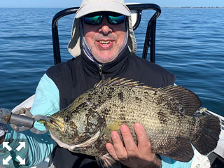 Patrice Camillieri, from France, with a tripletail caught and released on a fly while fishing with Capt. Rick Grassett recently.