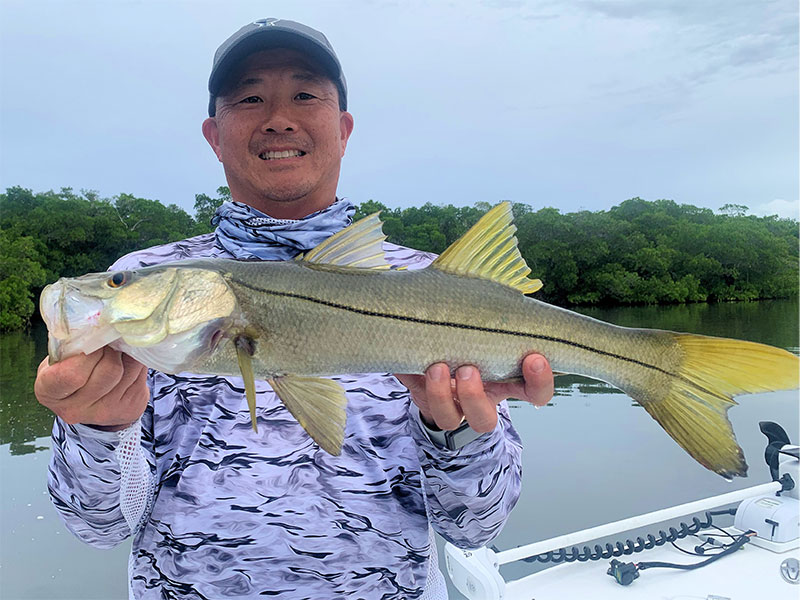 Here's a nice looking Snook caught and released in a previous December.