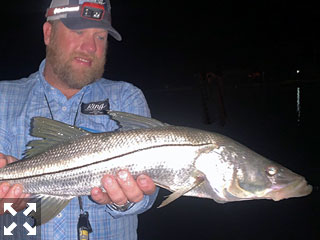 Night snook fishing should be good during December. Dave King, from Dillon, MT caught and released this nice snook on a fly in a previous December while fishing with with Capt. Rick Grassett.