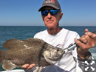 It's a great time of year for catching Tripletail.