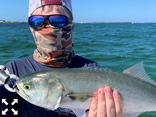 Trenton Marino, from Dillon. MT, caught and released his on a CAL jig with a shad tail on a couple of different trips with Capt. Rick Grassett.