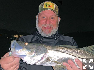 Cliff Ondercin, from Sarasota, with a snook caught and released on a fly while fishing the ICW at night with Capt. Rick Grassett recently.