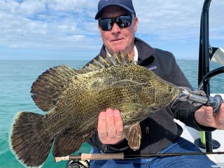 Tripletail may be an option in January depending on conditions. Kirk Grassett, from Middletown, DE, caught and released this one on a fly while fishing with Capt Rick Grassett in a previous January.