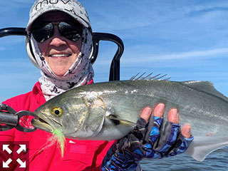 Pat Beckwith, from Sarasota, caught and released this Blue on a fly.