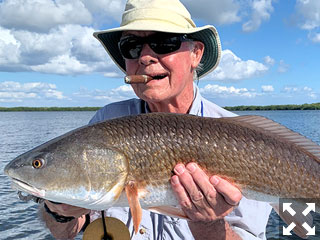 Keith McClintock, from Lake Forest, IL, had some good action catching and releasing reds on CAL jigs with shad tails while fishing Gasparilla Sound with Capt. Rick Grassett recently.