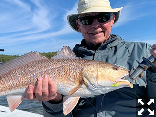 Keith McClintock, from Lake Forest, IL had some action catching and releasing reds on a couple of different trips in Sarasota Bay and Gasparilla Sound with Capt. Rick Grassett.