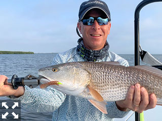 Action should be good in shallow water in March. Dave Reinhart fished Sarasota Bay with me in a previous March and caught and released this nice red on CAL jigs with grubs while fishing with Capt. Rick Grassett.