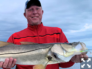 Glen Runk, from Ste. Genevieve, MO, had good action with big snook and trout on CAL jigs with shad tails while fishing Gasparilla Sound. 