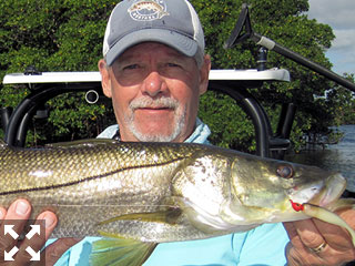 Mike Perez, from Sarasota, with a Sarasota Bay snook caught and released on DOA Lures in a previous April.