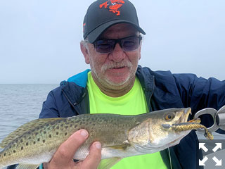 Joey Grassett, from Seaford, DE, with a Sarasota Bay trout caught and released on a CAL jig with a shad tail while fishing with Capt. Rick Grassett recently.