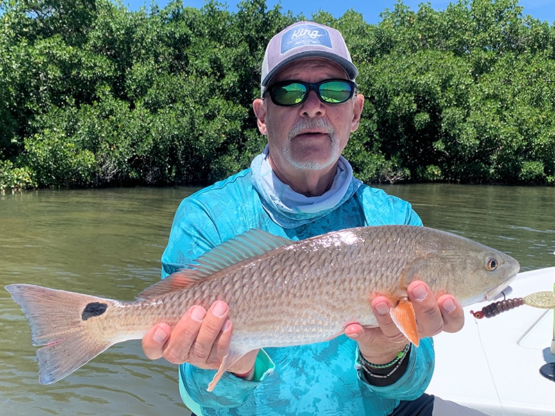 There should be good shallow water action during May. Mike Perez, from Sarasota, caught and released this red on a CAL jig with a grub while fishing Sarasota Bay with Capt. Rick Grassett in a previous May.