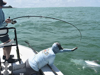 Dan Reinhart continues the battle with the tarpon he caught and released  fishing the coastal gulf with Capt. Rick Grassett.